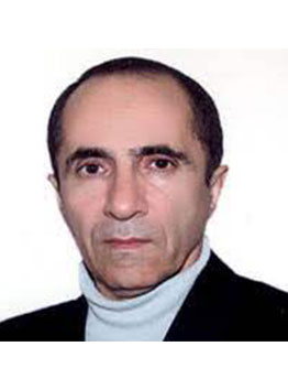 Mohammad Reza Gheitanchi